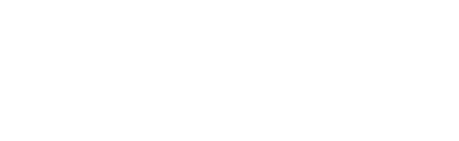 Raizesse Educação Profissional