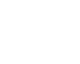 Raizesse